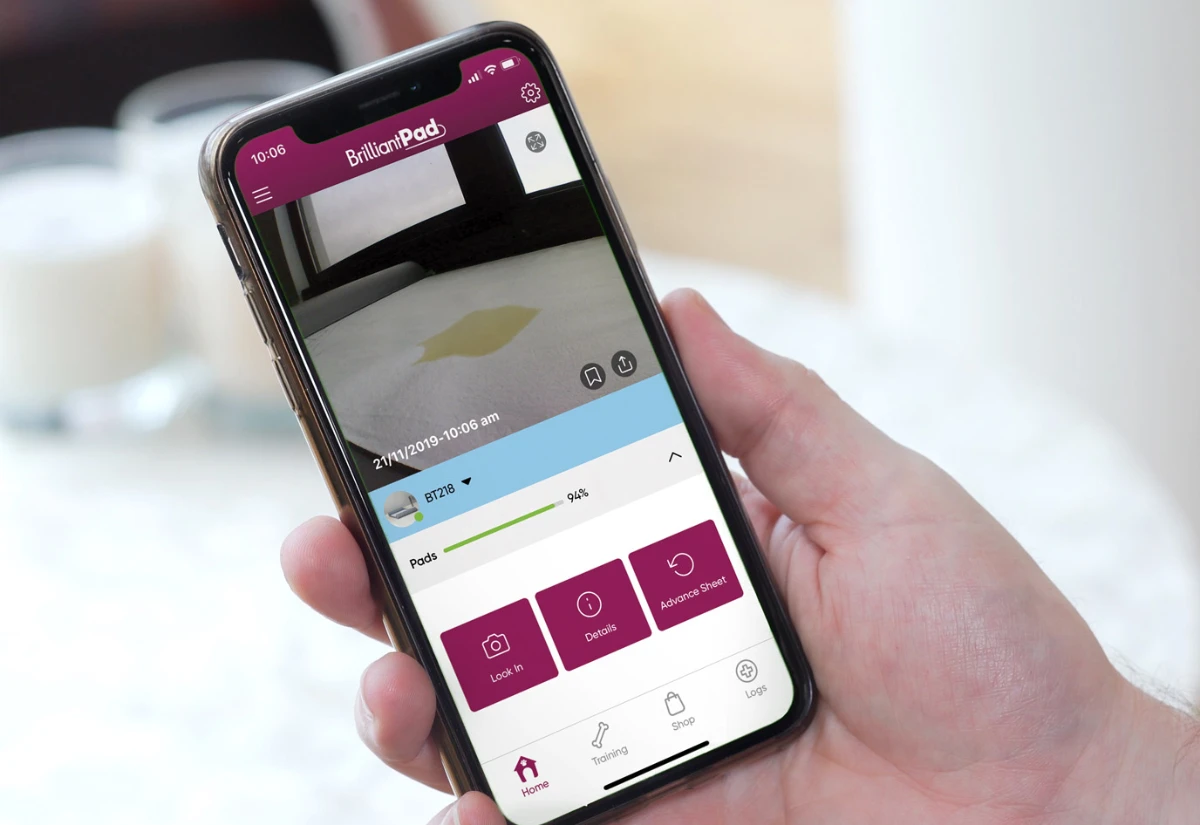 BrilliantPad app home — live camera view and pad advance