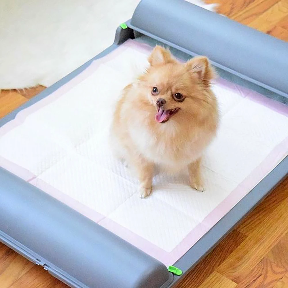 Dog on their regular pad, placed on top of BrilliantPad
