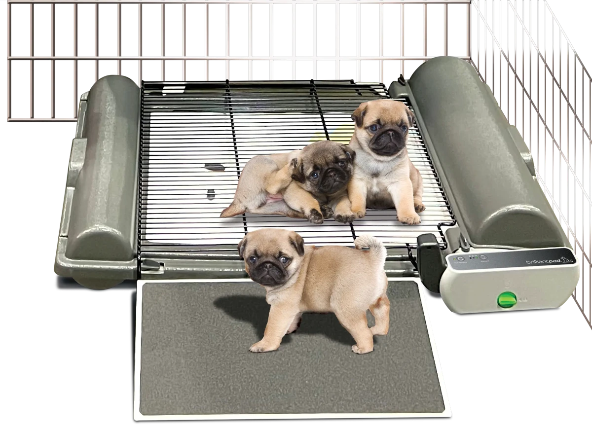 Grate accessory on BrilliantPad
