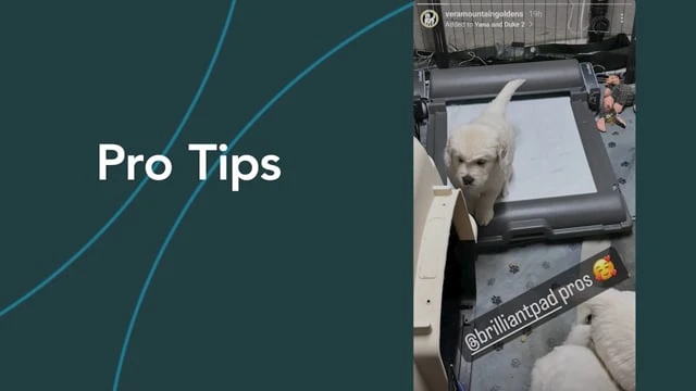 Additional tips