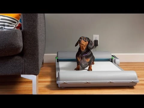 BrilliantPad setup